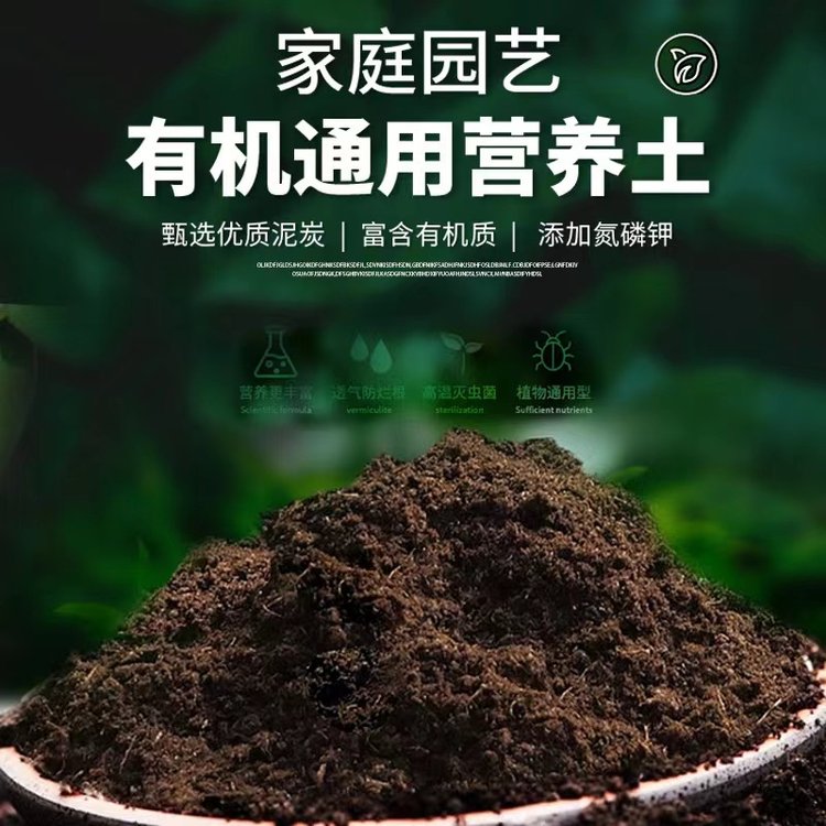 蔬菜育苗基质价格与加工工艺全面解析