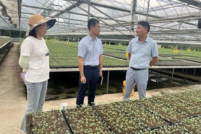 聚焦育苗基质加工 市农科院赴杭州康城农业科技考察调研