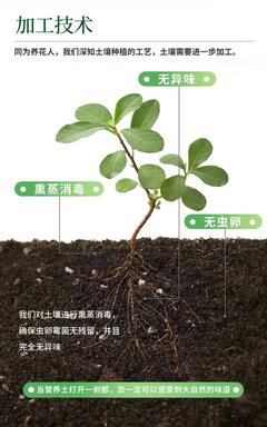从一捧基质到满园生机 现代育苗基质的加工与应用
