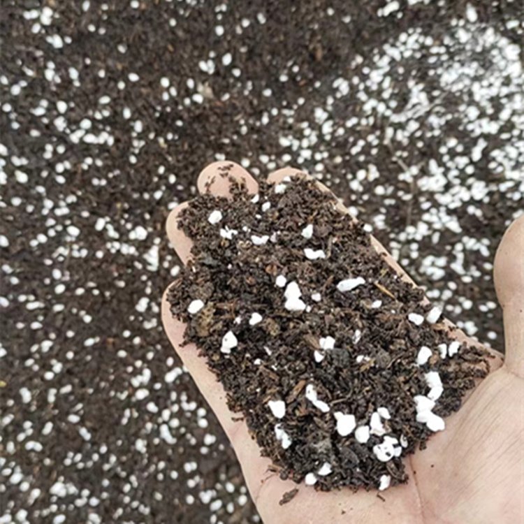 种植土价格与育苗基质加工全面解析